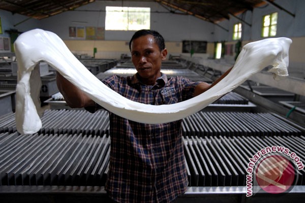 Rubber-producing countries agree to cut exports in 2016