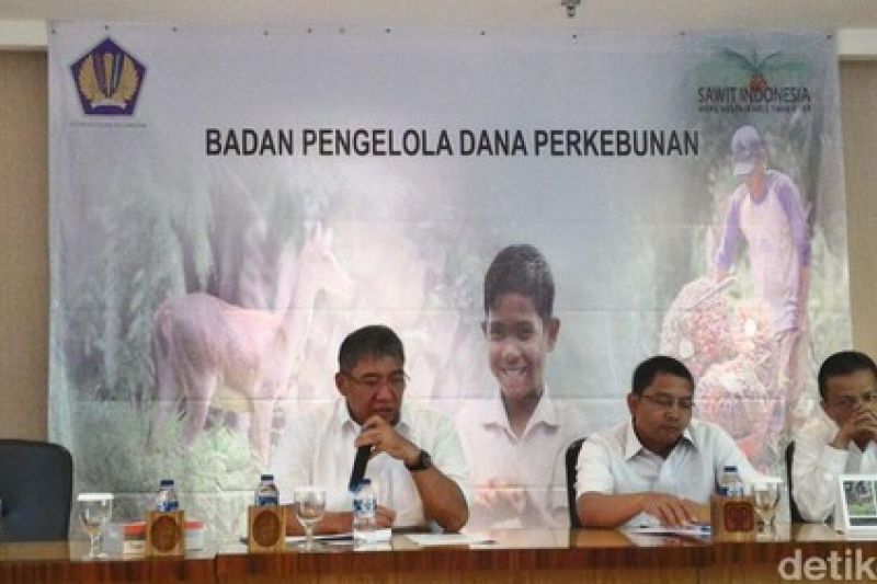 PLN Gets Rp5,000/ liter Subsidy for Purchasing Biodiesel from Pertamina