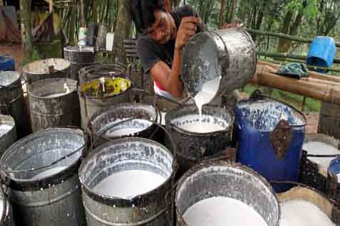 RUBBER PRICES MAY 10: Closed up 0.61% following crude oil prices