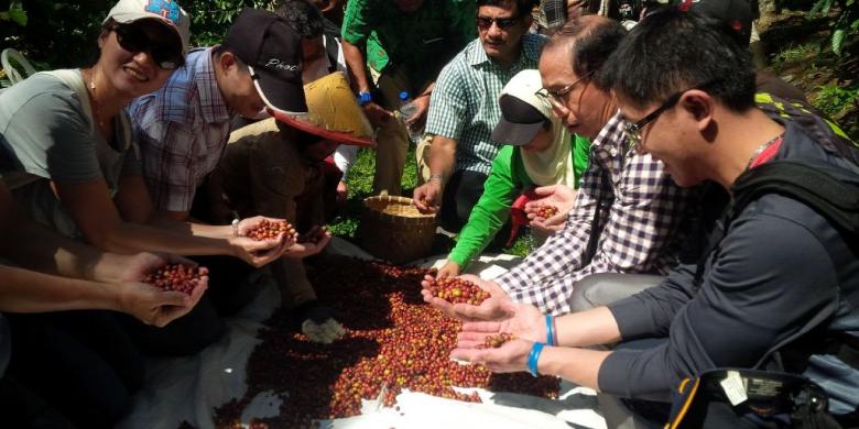 Taiwanese buyer interested in Banaran coffee