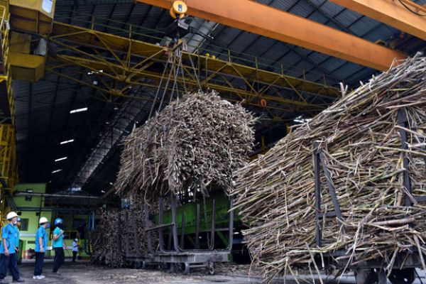Government Shuts Down Sugar Factories in East Java