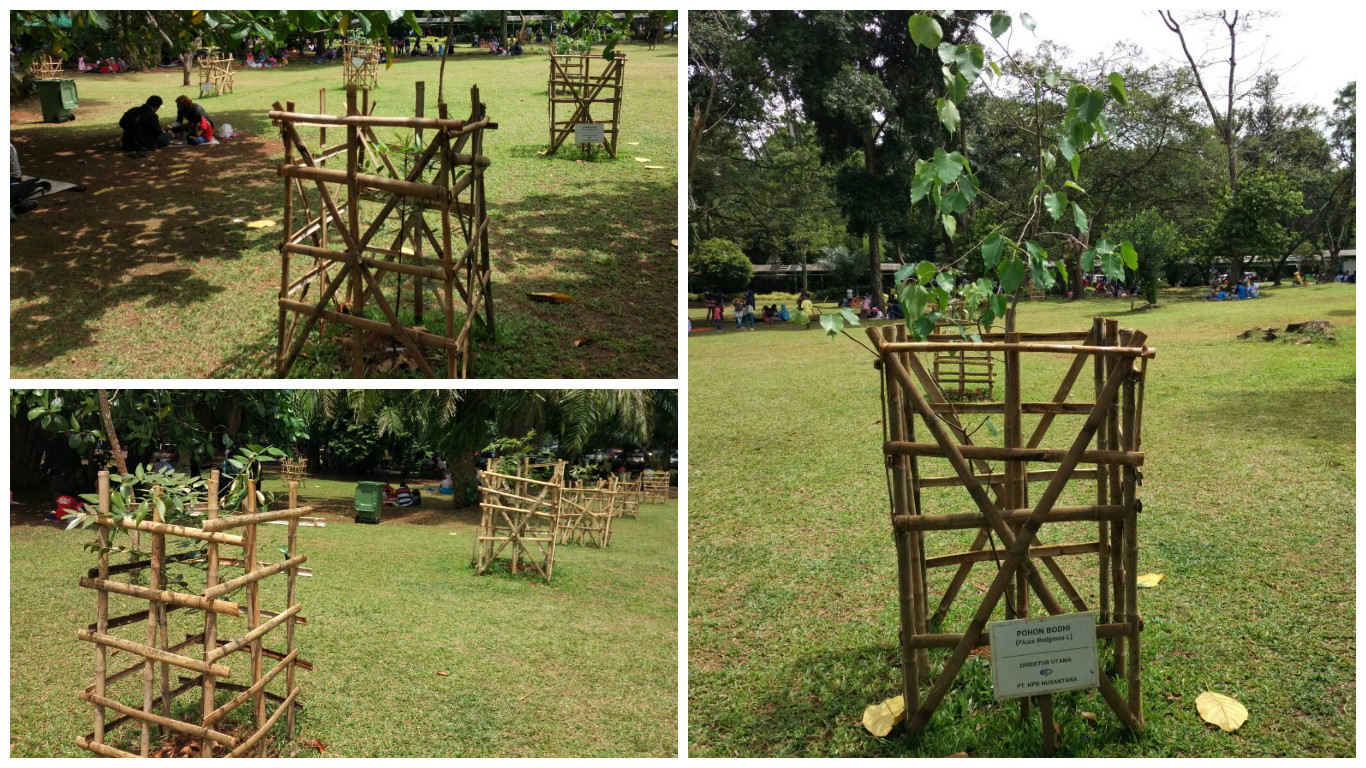 A Month Has Been Planted, PT. KPBN's Trees Grow Thicker