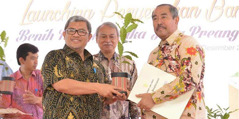 Coffee Plants, from Economic Value Improvement to Flood Prevention in West Java