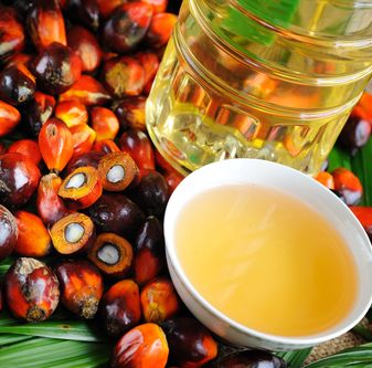 Processed CPO Trends Increase This Year