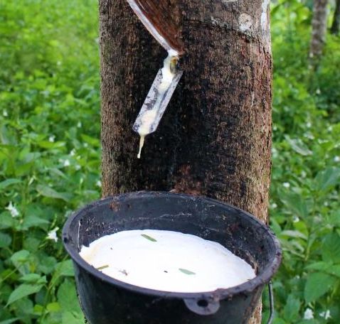 Rubber Prices Rise Almost 5 Percent
