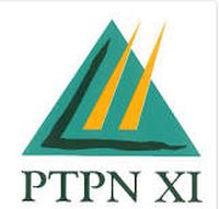 PTPN XI Targets Sugar Production of 430 Thousand Tons