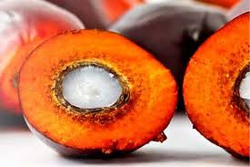 Palm Oil Exports Reach 26.73 Million Tons